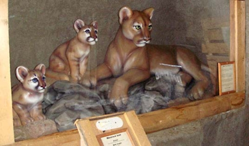 4ft Mountain Lion and 3ft Cub for Vail Resort