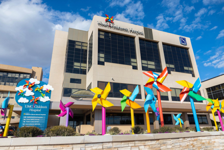 Pinwheel-Themed Garden and Signage